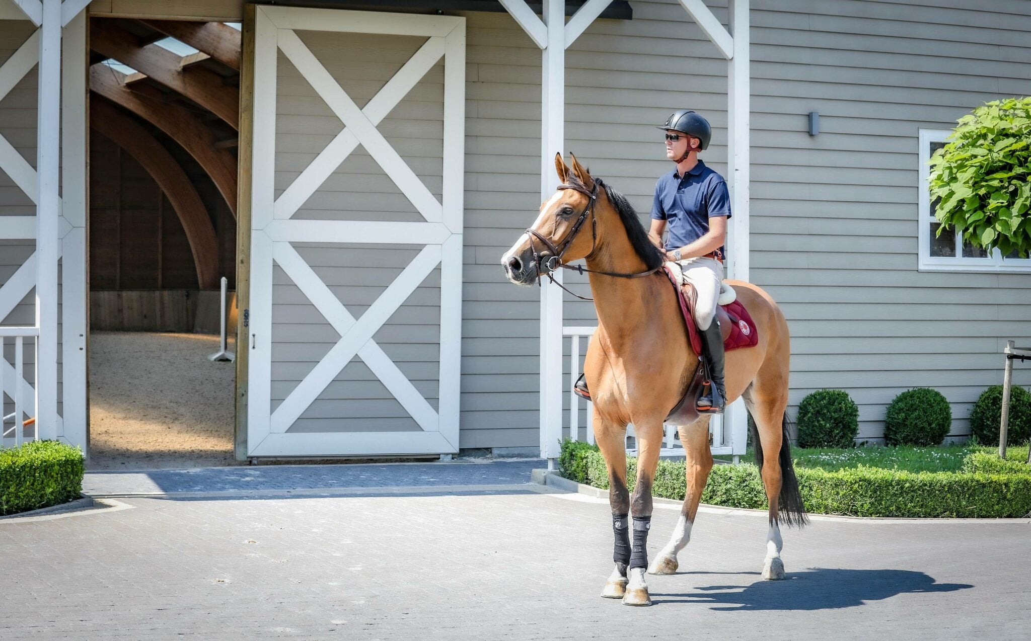 5 tips to optimally prepare your horse for competition and hot days
