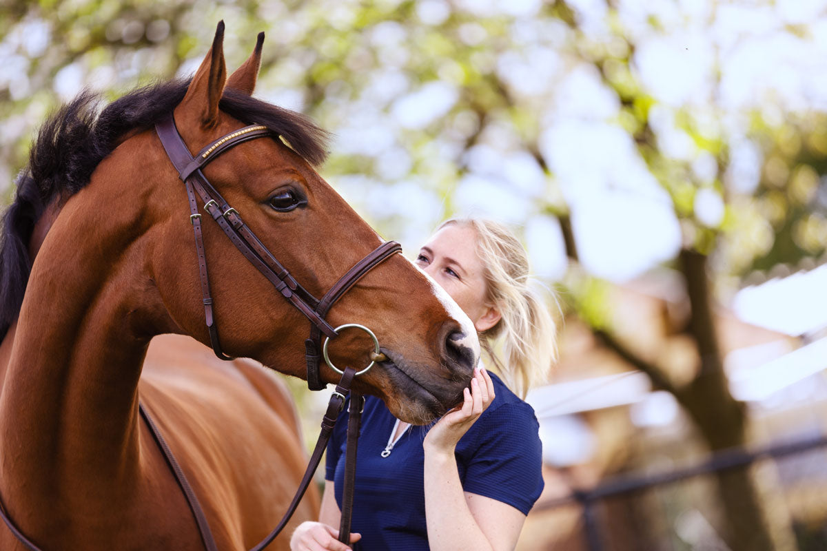 What is the right feed for your sport horse’s unique nutritional requirements?