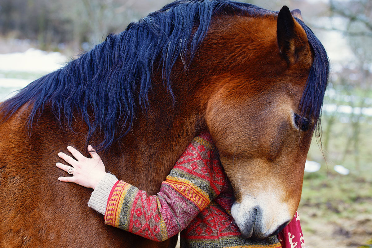 Tips on strengthening your horse's immune system