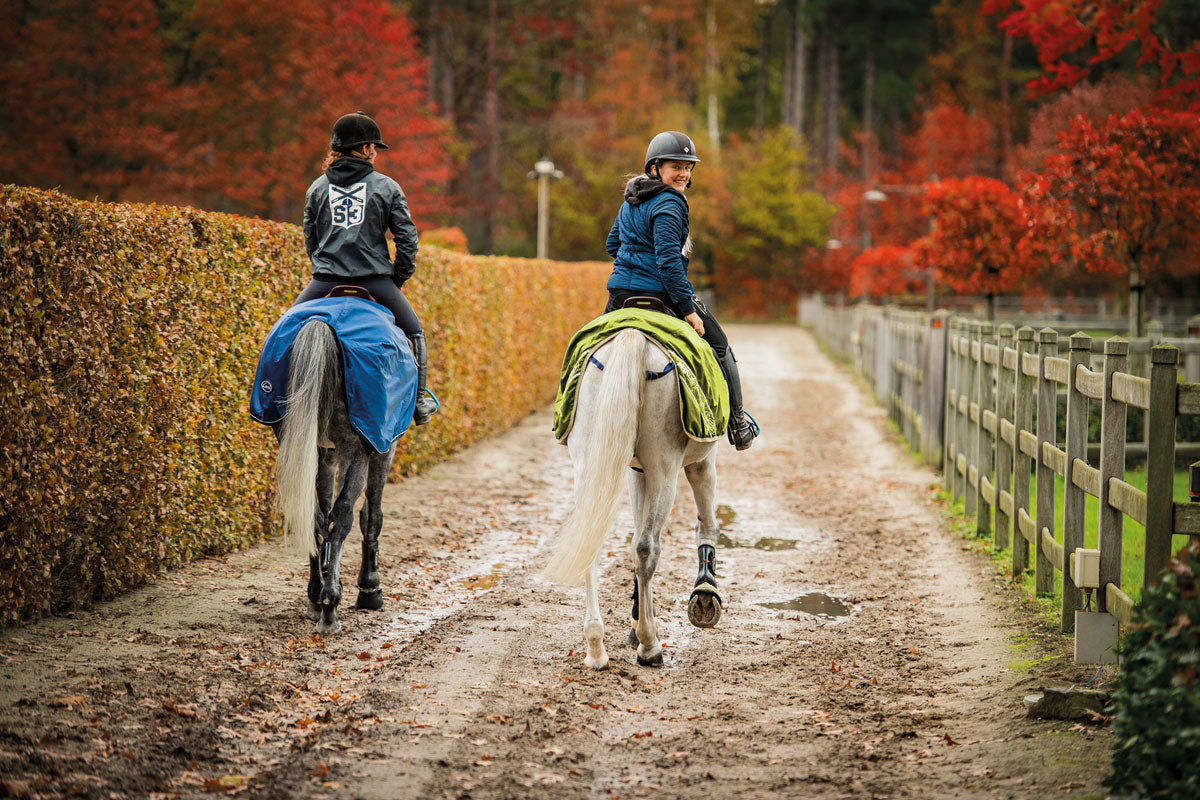 How to keep your horse in shape through the winter months?