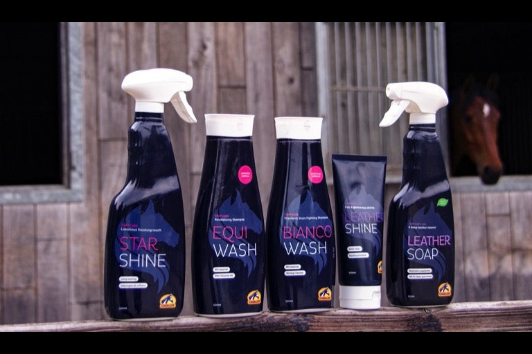 Horse Care - A Fit Horse Shines